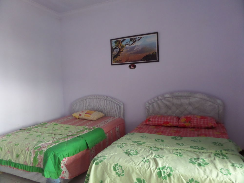 Hotel Nadia Bromo Zewnętrze zdjęcie