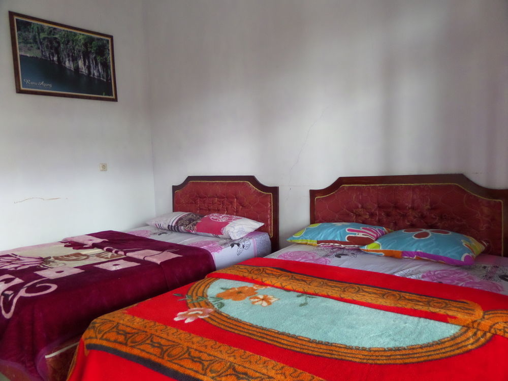 Hotel Nadia Bromo Zewnętrze zdjęcie